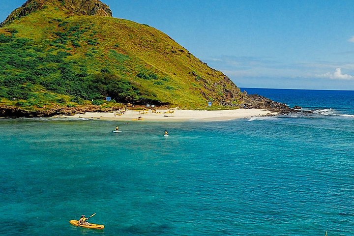 Kajak- en snorkelavontuur in Kailua Bay, Oahu, met uitzicht op eilanden en zeeleven, foto 9 | wizardtrip