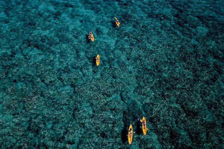 Kajak- en snorkelavontuur in Kailua Bay, Oahu, met uitzicht op eilanden en zeeleven, foto 12 | wizardtrip