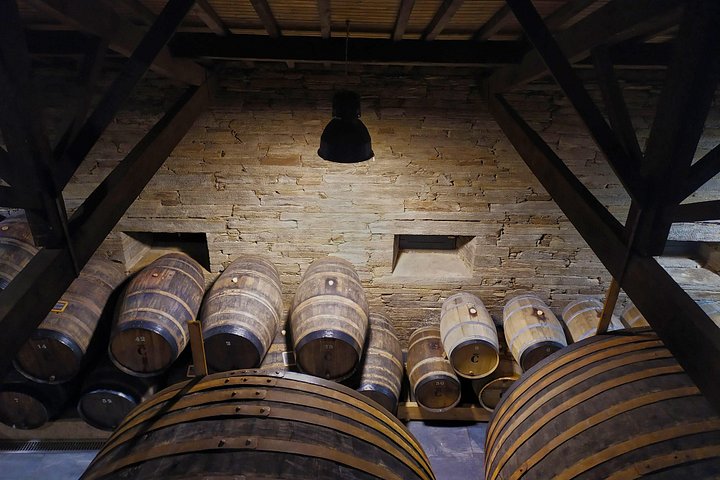 Tour em pequeno grupo pelo Vale do Douro, Portugal, com prova de vinhos, cruzeiro no rio e paisagens deslumbrantes, foto 7 | wizardtrip