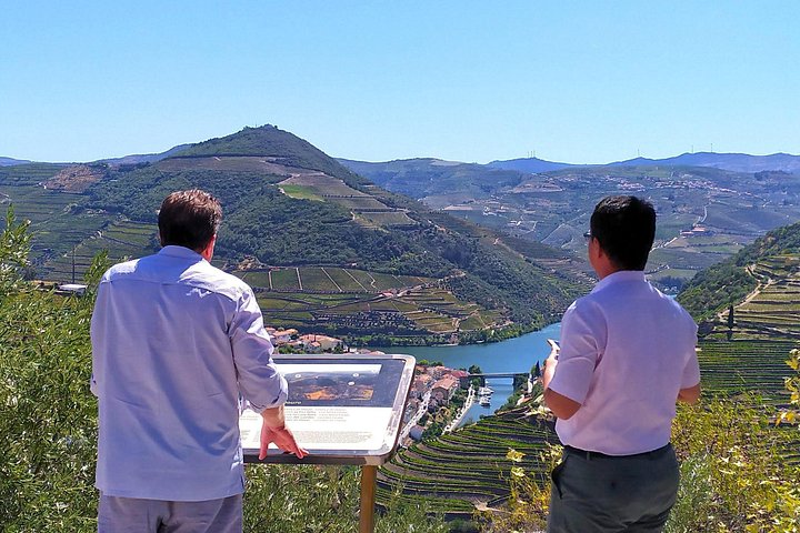 Tour em pequeno grupo pelo Vale do Douro, Portugal, com prova de vinhos, cruzeiro no rio e paisagens deslumbrantes, foto 12 | wizardtrip