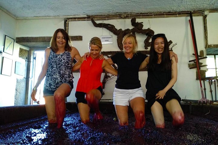 Tour em pequeno grupo pelo Vale do Douro, Portugal, com prova de vinhos, cruzeiro no rio e paisagens deslumbrantes, foto 13 | wizardtrip