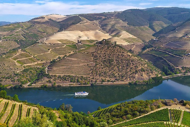 Tour em pequeno grupo pelo Vale do Douro, Portugal, com prova de vinhos, cruzeiro no rio e paisagens deslumbrantes, foto 16 | wizardtrip