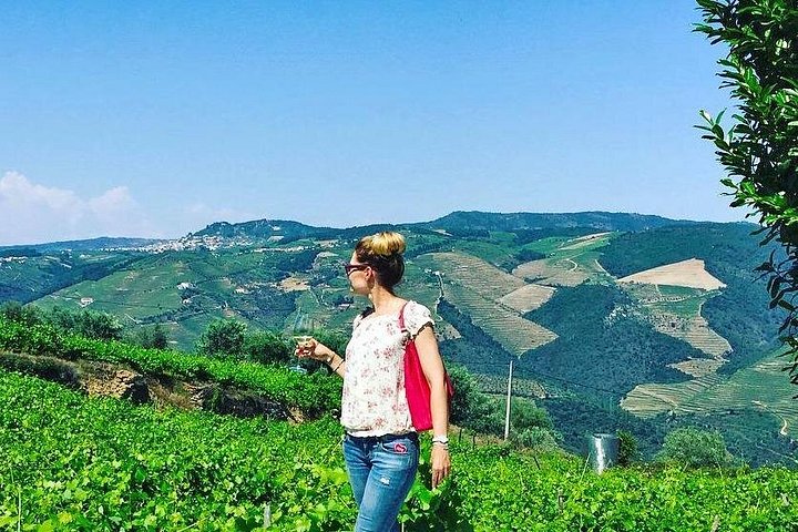 Tour em pequeno grupo pelo Vale do Douro, Portugal, com prova de vinhos, cruzeiro no rio e paisagens deslumbrantes, foto 18 | wizardtrip