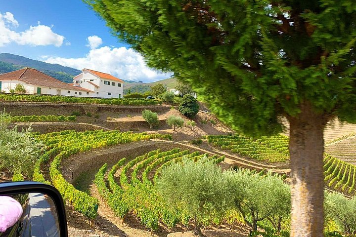Tour em pequeno grupo pelo Vale do Douro, Portugal, com prova de vinhos, cruzeiro no rio e paisagens deslumbrantes, foto 21 | wizardtrip