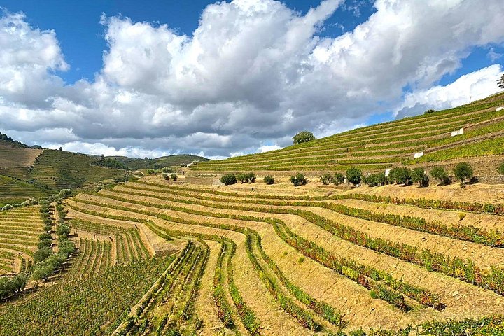Tour em pequeno grupo pelo Vale do Douro, Portugal, com prova de vinhos, cruzeiro no rio e paisagens deslumbrantes, foto 22 | wizardtrip