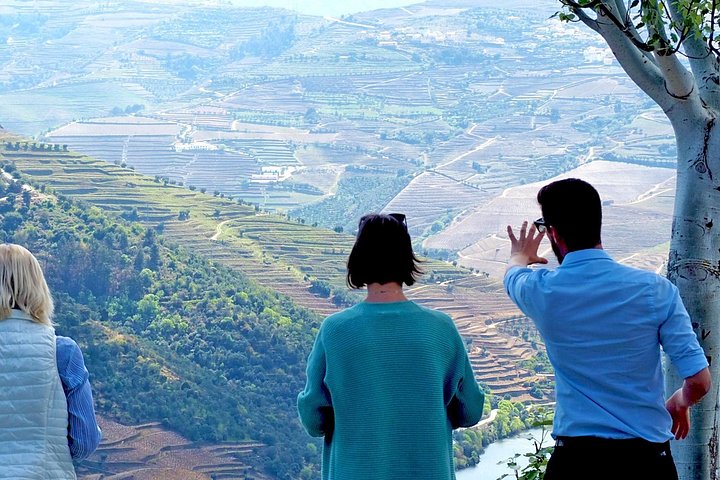Tour em pequeno grupo pelo Vale do Douro, Portugal, com prova de vinhos, cruzeiro no rio e paisagens deslumbrantes, foto 23 | wizardtrip