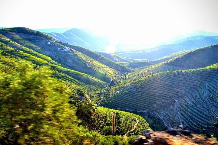 Tour em pequeno grupo pelo Vale do Douro, Portugal, com prova de vinhos, cruzeiro no rio e paisagens deslumbrantes, foto 25 | wizardtrip
