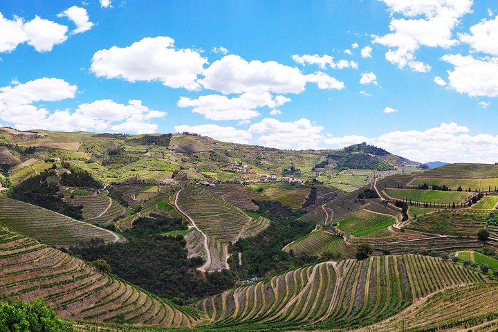 Tour em pequeno grupo pelo Vale do Douro, Portugal, com prova de vinhos, cruzeiro no rio e paisagens deslumbrantes, foto 26 | wizardtrip