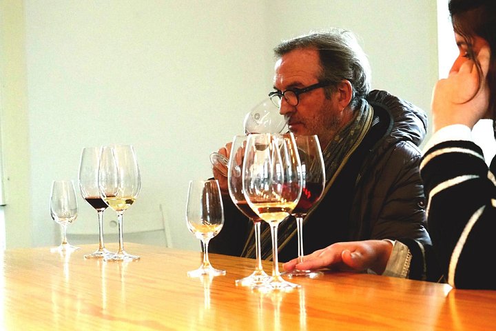 Tour em pequeno grupo pelo Vale do Douro, Portugal, com prova de vinhos, cruzeiro no rio e paisagens deslumbrantes, foto 27 | wizardtrip