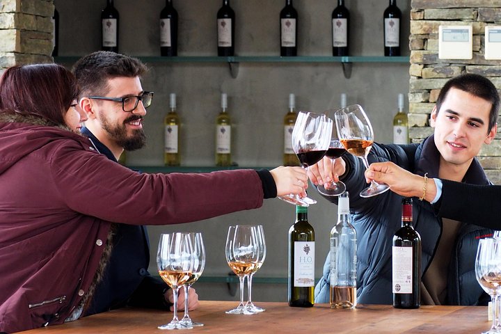 Tour em pequeno grupo pelo Vale do Douro, Portugal, com prova de vinhos, cruzeiro no rio e paisagens deslumbrantes, foto 28 | wizardtrip