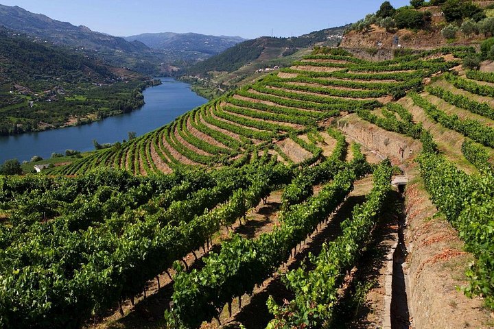 Tour em pequeno grupo pelo Vale do Douro, Portugal, com prova de vinhos, cruzeiro no rio e paisagens deslumbrantes, foto 30 | wizardtrip