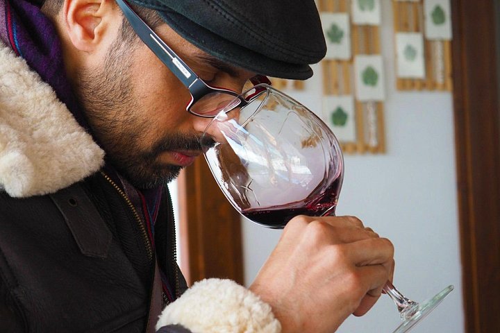 Tour em pequeno grupo pelo Vale do Douro, Portugal, com prova de vinhos, cruzeiro no rio e paisagens deslumbrantes, foto 33 | wizardtrip