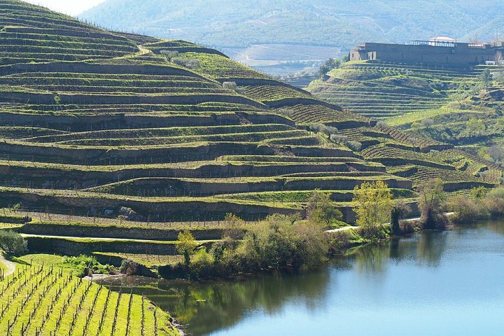 Tour em pequeno grupo pelo Vale do Douro, Portugal, com prova de vinhos, cruzeiro no rio e paisagens deslumbrantes, foto 38 | wizardtrip