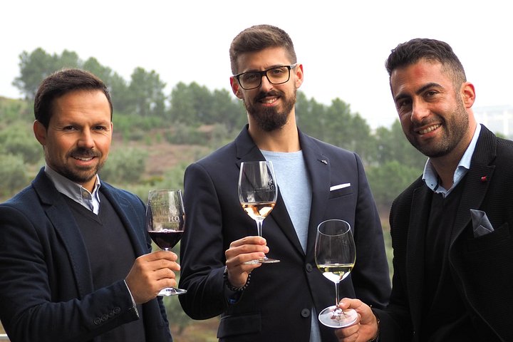 Tour em pequeno grupo pelo Vale do Douro, Portugal, com prova de vinhos, cruzeiro no rio e paisagens deslumbrantes, foto 41 | wizardtrip