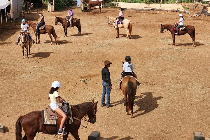 Hesteeventyr med hawaiianske cowboys på Maui, med havudsigt og ranch-landskab, foto 9 | wizardtrip