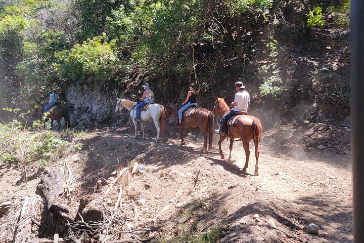 Hesteeventyr med hawaiianske cowboys på Maui, med havudsigt og ranch-landskab, foto 10 | wizardtrip