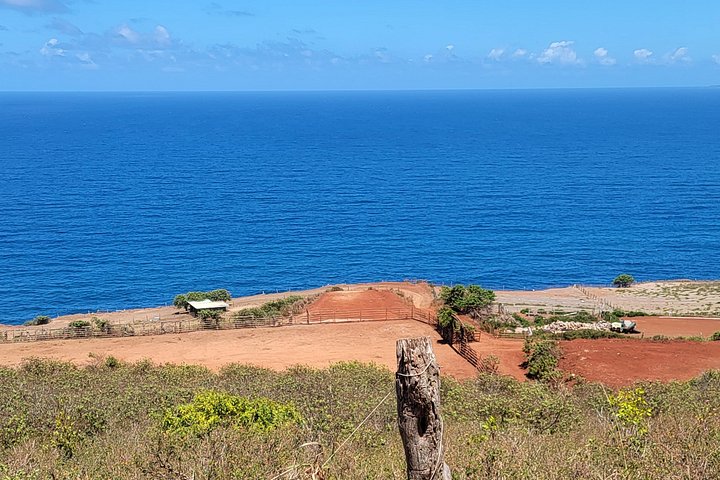 Hesteeventyr med hawaiianske cowboys på Maui, med havudsigt og ranch-landskab, foto 11 | wizardtrip