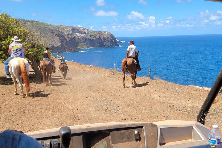 Hesteeventyr med hawaiianske cowboys på Maui, med havudsigt og ranch-landskab, foto 13 | wizardtrip