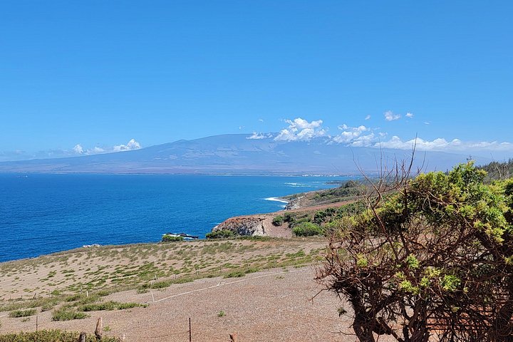 Hesteeventyr med hawaiianske cowboys på Maui, med havudsigt og ranch-landskab, foto 14 | wizardtrip