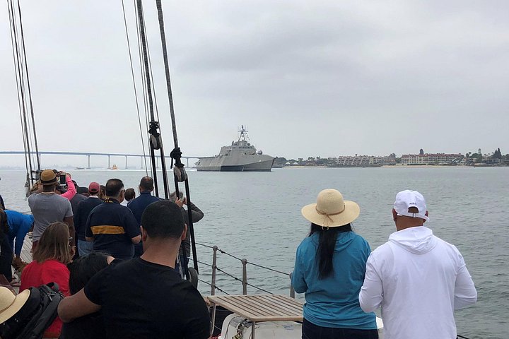 Crociera per l'avvistamento di balene a San Diego a bordo di uno storico yacht a vela, avvistamento di vita marina, foto 10 | wizardtrip