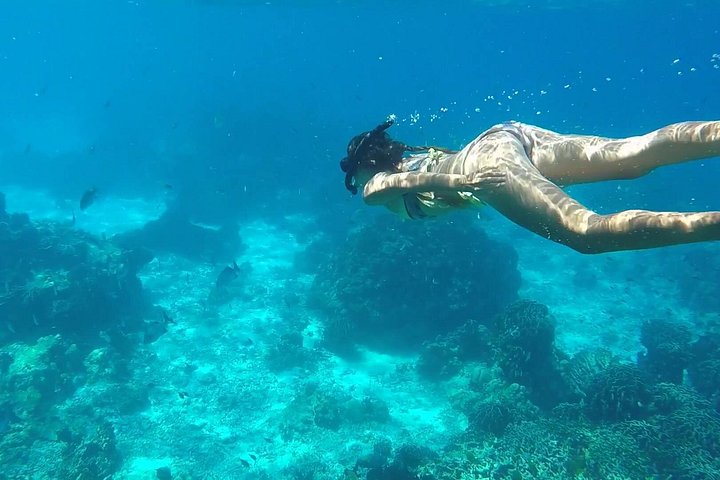 Tour en barco por la isla de Capri con baño y degustación de limoncello, foto 8 | wizardtrip
