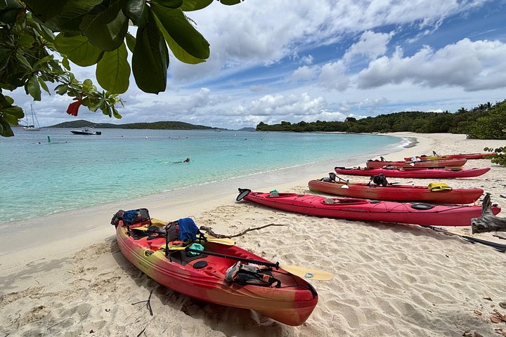 Kayak and snorkel adventure with sea turtles in St. John, US Virgin Islands National Park, photo 7 | wizardtrip