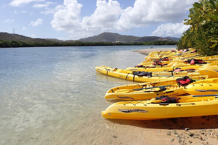Aventura de kayak, senderismo y snorkel en la laguna de manglares y Cas Cay de St. Thomas, foto 9 | wizardtrip