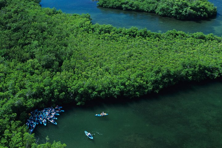 Aventura de kayak, senderismo y snorkel en la laguna de manglares y Cas Cay de St. Thomas, foto 11 | wizardtrip