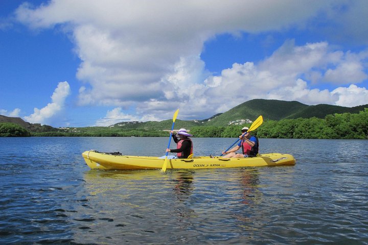 Aventura de kayak, senderismo y snorkel en la laguna de manglares y Cas Cay de St. Thomas, foto 14 | wizardtrip
