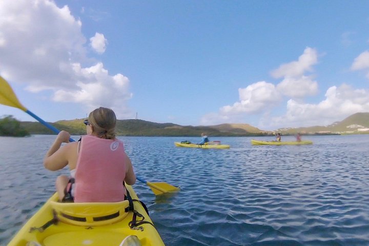 Aventura de kayak, senderismo y snorkel en la laguna de manglares y Cas Cay de St. Thomas, foto 21 | wizardtrip