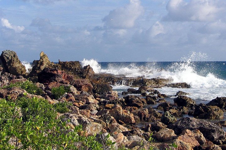 Aventura de kayak, senderismo y snorkel en la laguna de manglares y Cas Cay de St. Thomas, foto 29 | wizardtrip