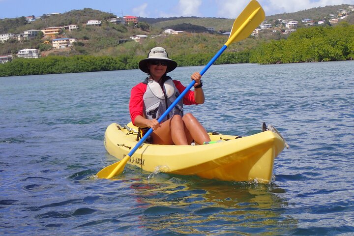 Aventura de kayak, senderismo y snorkel en la laguna de manglares y Cas Cay de St. Thomas, foto 36 | wizardtrip