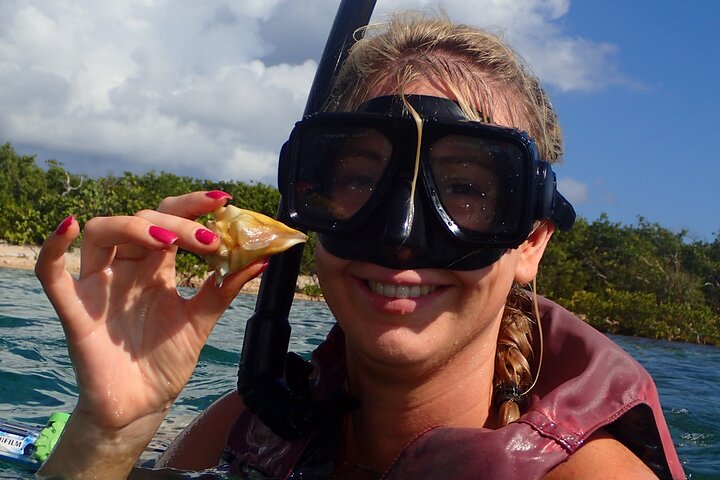 Aventura de kayak, senderismo y snorkel en la laguna de manglares y Cas Cay de St. Thomas, foto 40 | wizardtrip