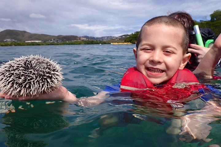 Aventura de kayak, senderismo y snorkel en la laguna de manglares y Cas Cay de St. Thomas, foto 41 | wizardtrip