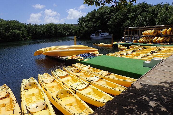 Aventura de kayak, senderismo y snorkel en la laguna de manglares y Cas Cay de St. Thomas, foto 42 | wizardtrip
