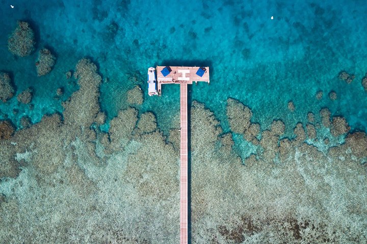 Njut av en heldag på Malamala Beach Club, Fijis första ö-strandklubb, med fantastisk havsutsikt och vita sandstränder, foto 10 | wizardtrip
