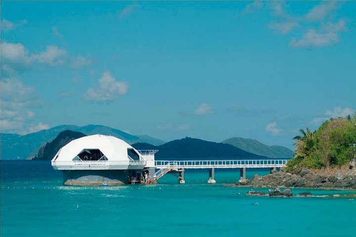 Explore marine life and enjoy the beach at Coral World Ocean Park, St. Thomas, photo 11 | wizardtrip