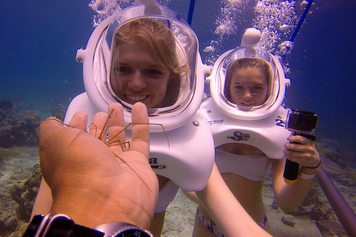 Expérience de plongée avec casque sous-marin au Coral World Ocean Park, Saint-Thomas, photo 9 | wizardtrip