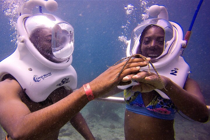 Expérience de plongée avec casque sous-marin au Coral World Ocean Park, Saint-Thomas, photo 10 | wizardtrip