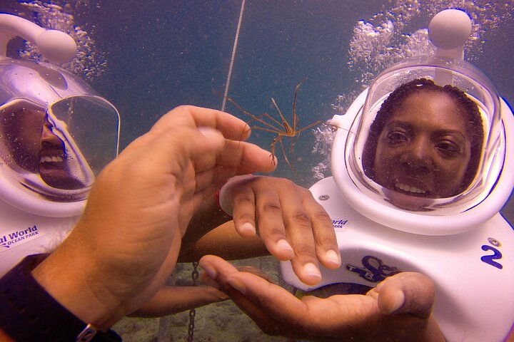Expérience de plongée avec casque sous-marin au Coral World Ocean Park, Saint-Thomas, photo 11 | wizardtrip