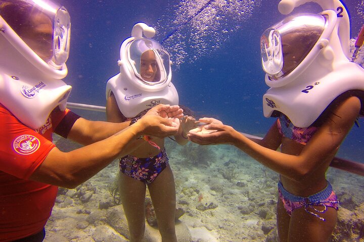 Expérience de plongée avec casque sous-marin au Coral World Ocean Park, Saint-Thomas, photo 12 | wizardtrip