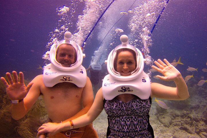 Expérience de plongée avec casque sous-marin au Coral World Ocean Park, Saint-Thomas, photo 13 | wizardtrip