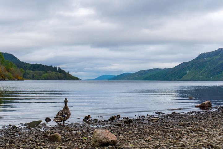 Dagstur i liten grupp till Isle of Skye och Eilean Donan Castle från Inverness, Skottland, foto 11 | wizardtrip