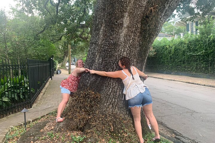 Wandeltocht door het Garden District van New Orleans met historische landhuizen, weelderige tuinen en Lafayette Cemetery #1, foto 10 | wizardtrip