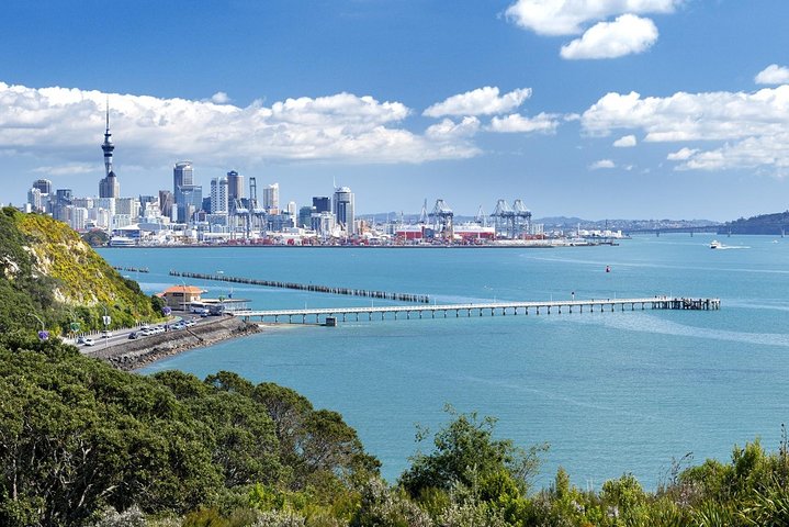 Excursion d'une demi-journée à la découverte d'Auckland | wizardtrip