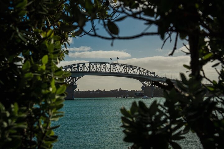 Naturskøn tur i Aucklands havn, vulkaner og byens vartegn, foto 6 | wizardtrip