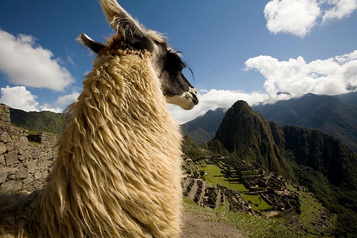 6-daagse Tour Cusco en Machu Picchu: Heilige Vallei & Maras | wizardtrip