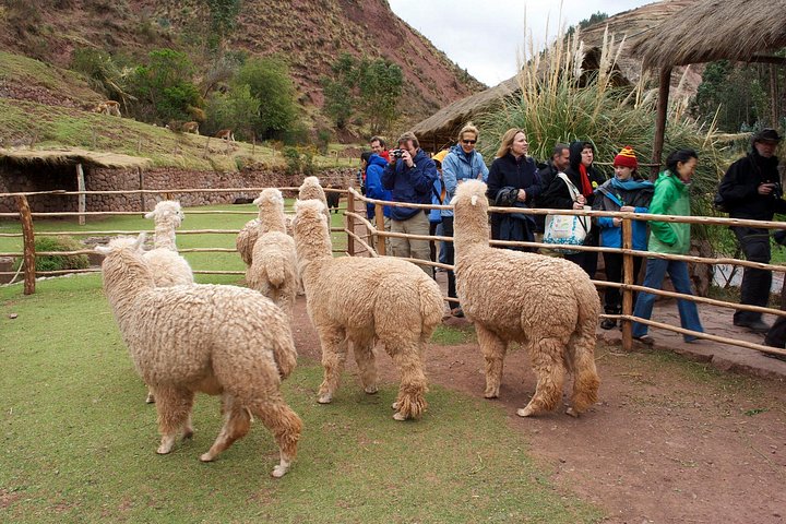 En 6-dagars tur som utforskar Cusco, Heliga dalen och Machu Picchu, Peru, foto 6 | wizardtrip