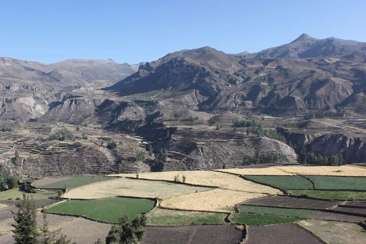 Un tour de 10 días por los puntos destacados de Perú: Lima, Arequipa, Cañón del Colca, Lago Titicaca, Cusco y Machu Picchu, foto 10 | wizardtrip