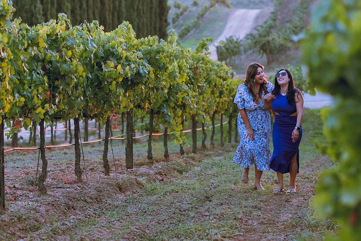 Vues panoramiques des domaines viticoles, des vignobles et des expériences de dégustation de la vallée de Temecula, photo 6 | wizardtrip
